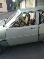 A160-148 -Neue Türe vorne links 2.jpg