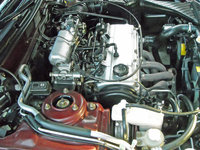 DSCN0002a.jpg