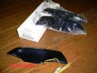 MZ569445.jpg
