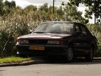 KIF_6745 (Large).JPG