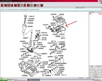 Schakelpook FL aut.JPG