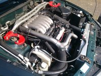 2013-04-07 15.30.27.JPG